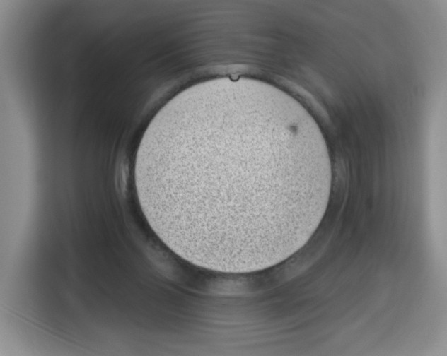 X0000115080110200911241150