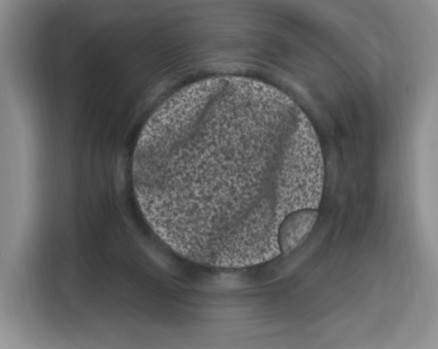 X0000115080114200911241150