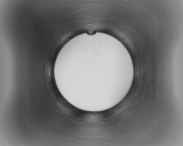 X0000115080115200911241150