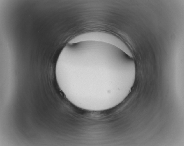 X0000115080121200911241150