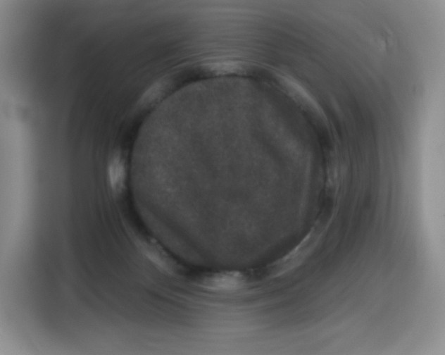 X0000115080124200911241150