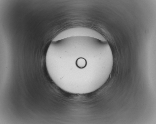 X0000115080125200911241150