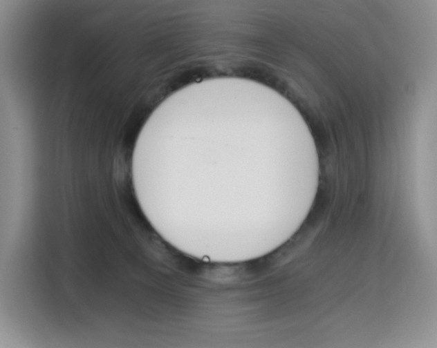 X0000115080129200911241150