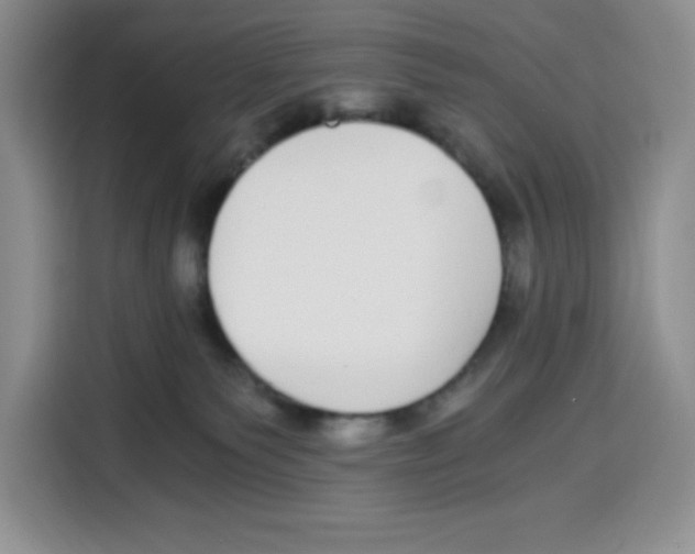 X0000115080135200911241149