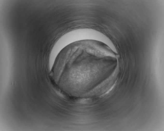 X0000115080136200911241149