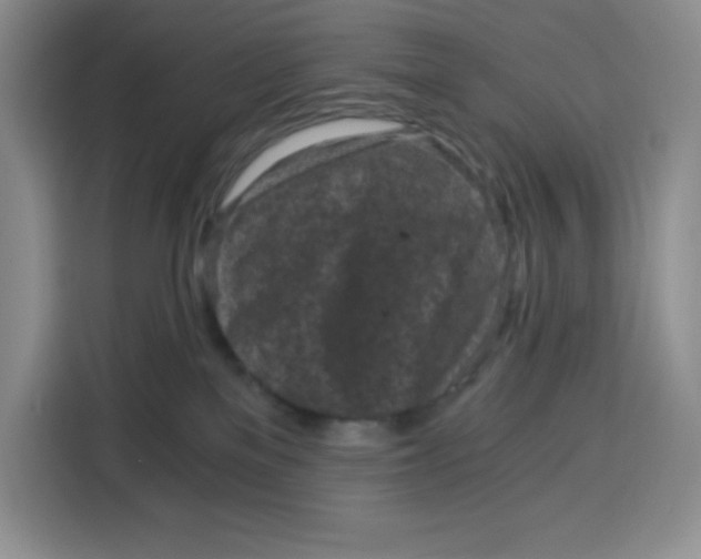 X0000115080137200911241149