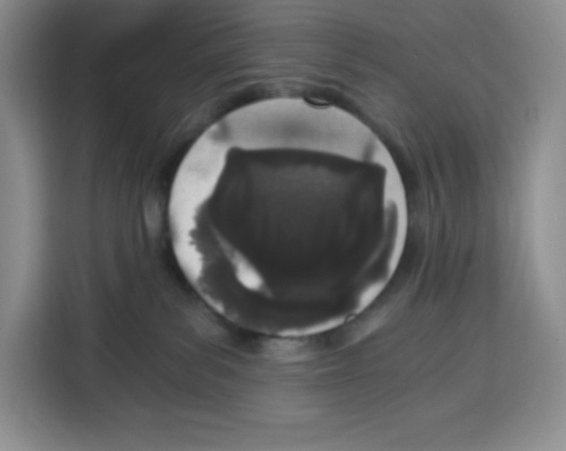 X0000115080139200911241149