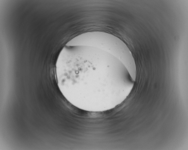 X0000115080141200911241149