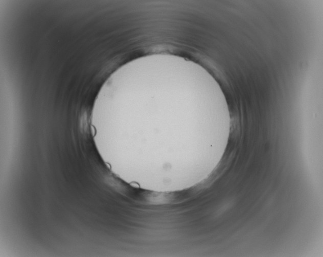 X0000115080142200911241149