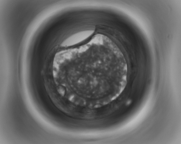 X0000115080143200911241149