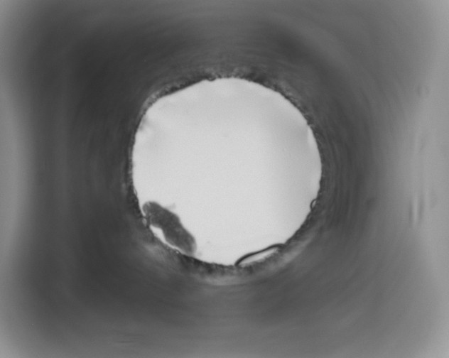 X0000115080144200911241149