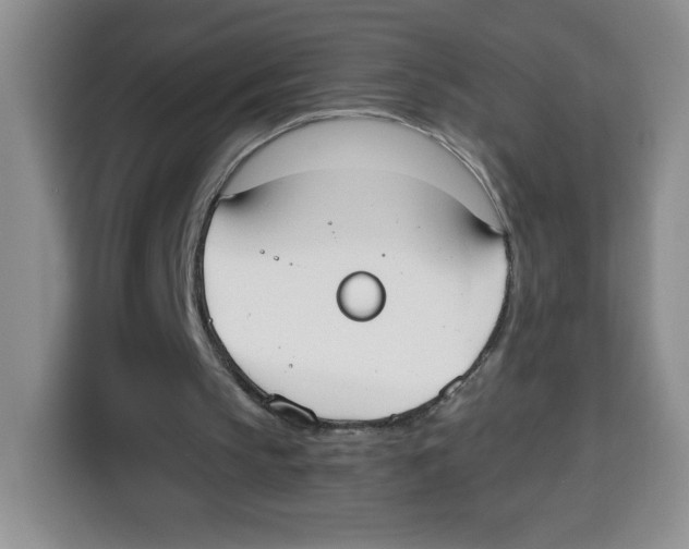 X0000115080145200911241149