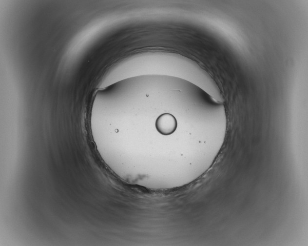 X0000115080146200911241149