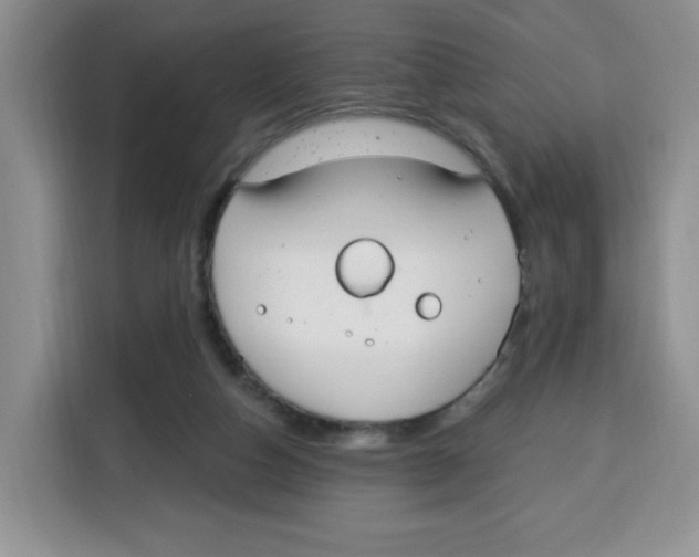 X0000115080162200911241149