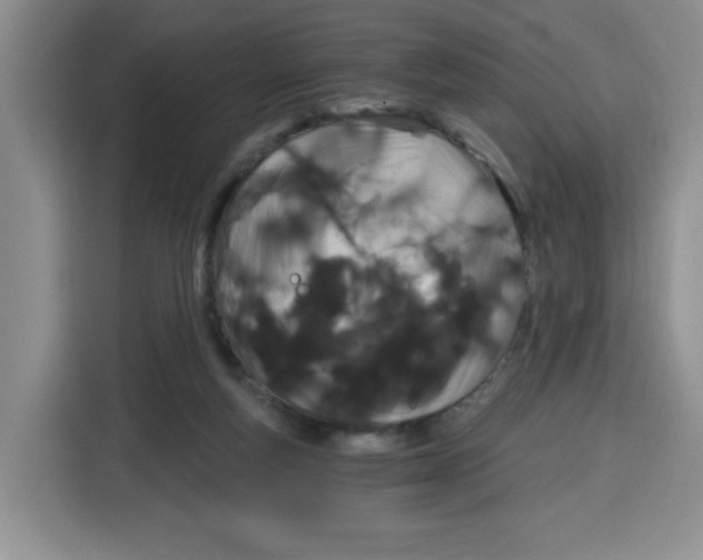 X0000115080163200911241149