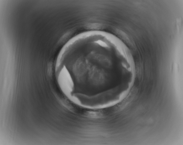 X0000115080167200911241149