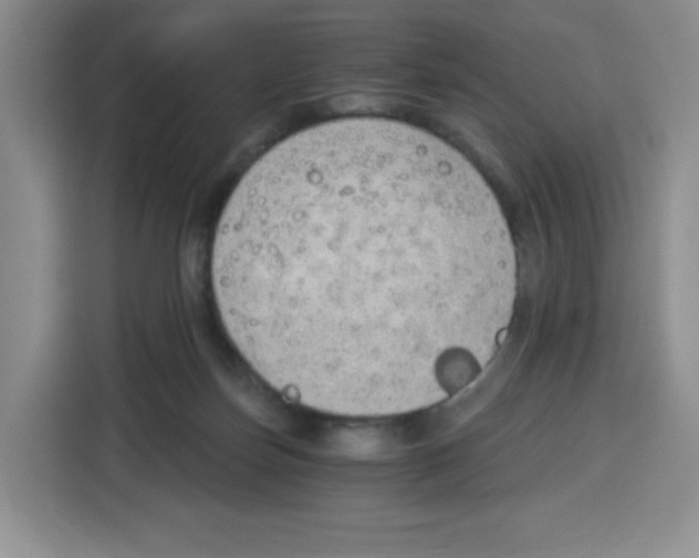 X0000115080171200911241149