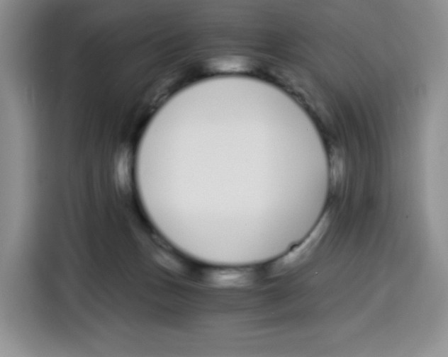 X0000115080175200911241149