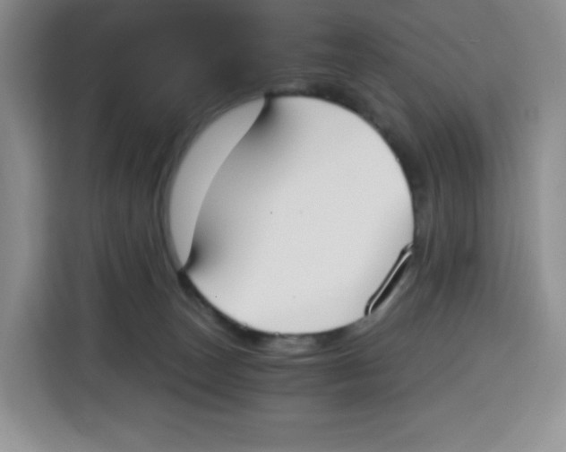 X0000115080179200911241149