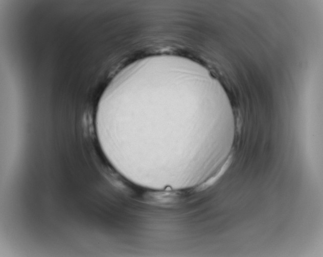 X0000115080182200911241149