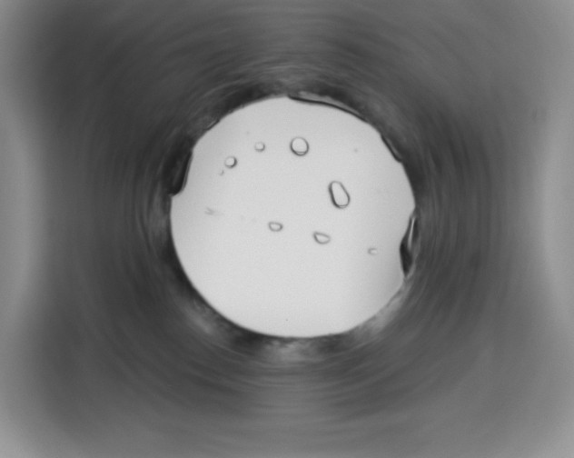 X0000115080186200911241149