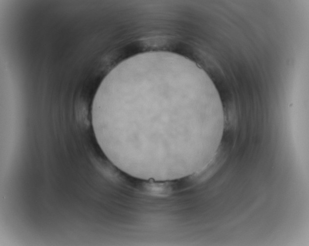 X0000115080187200911241149