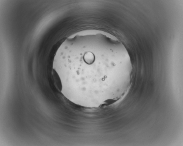 X0000115080190200911241149