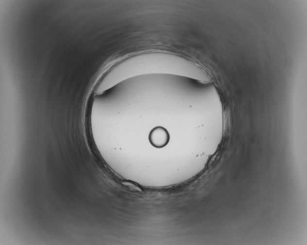 X0000115080195200911241149