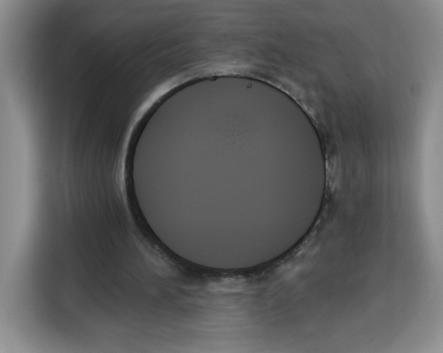 X0000115080196200911241149