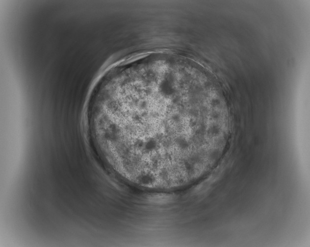 X0000115080198200911241149