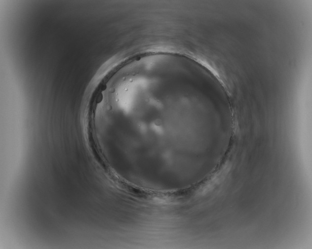 X0000115080199200911241149