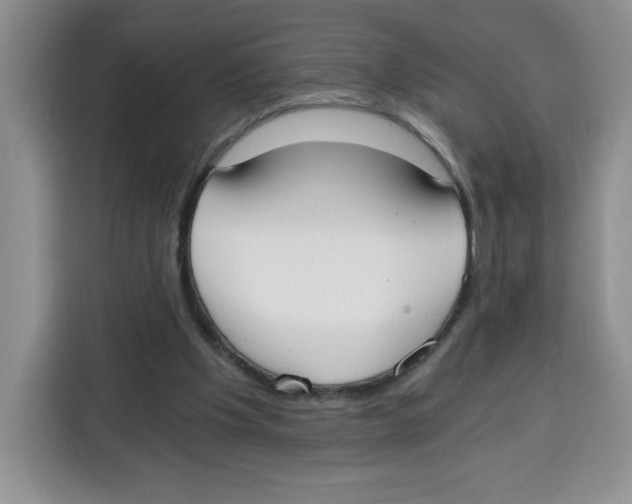 X0000115080201200911241149