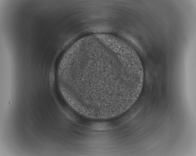 X0000115080202200911241149