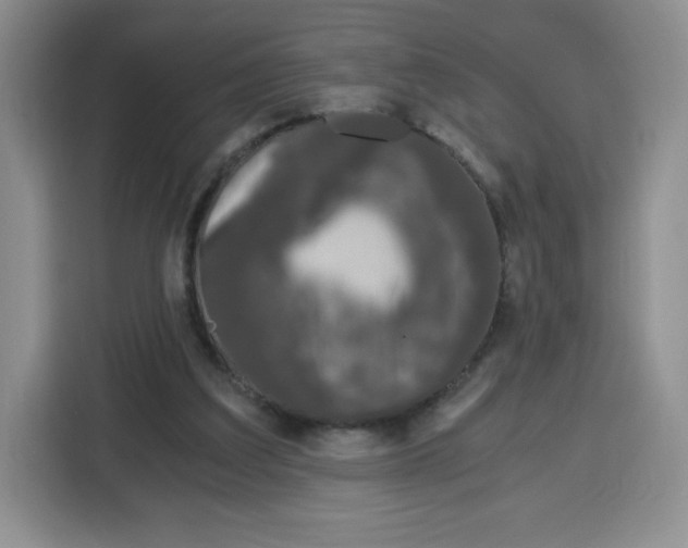 X0000115080203200911241149