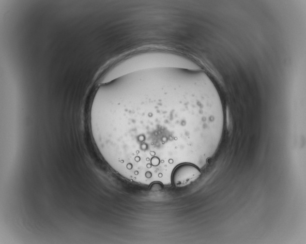 X0000115080204200911241149