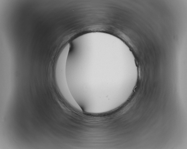 X0000115080205200911241149