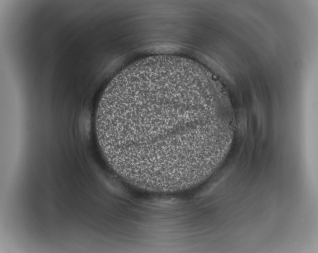 X0000115080206200911241149