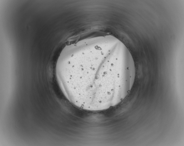 X0000115080210200911241149