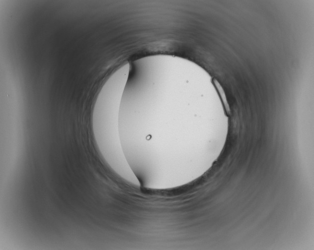 X0000115080211200911241149