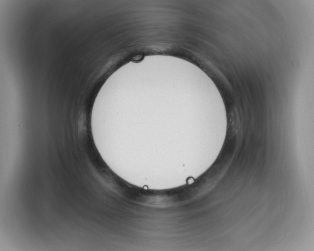 X0000115080212200911241148