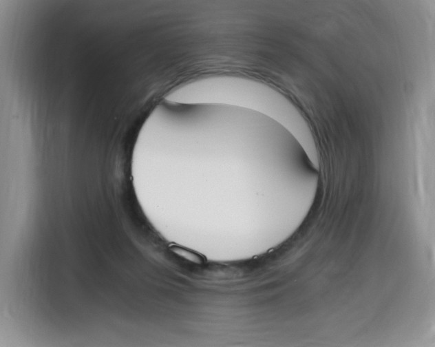 X0000115080215200911241148