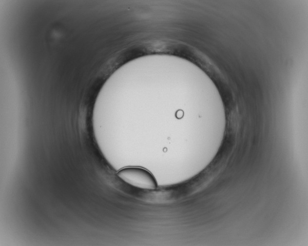 X0000115080217200911241148