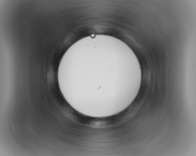 X0000115080220200911241148