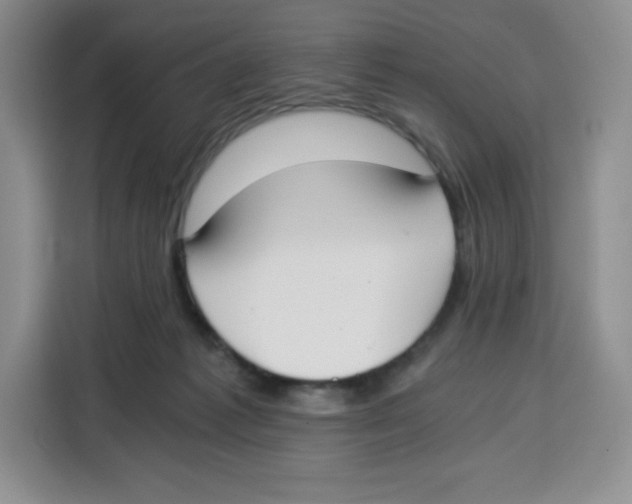 X0000115080221200911241148