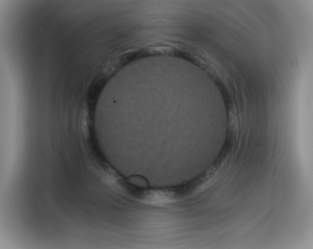 X0000115080223200911241148