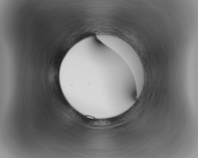 X0000115080225200911241148