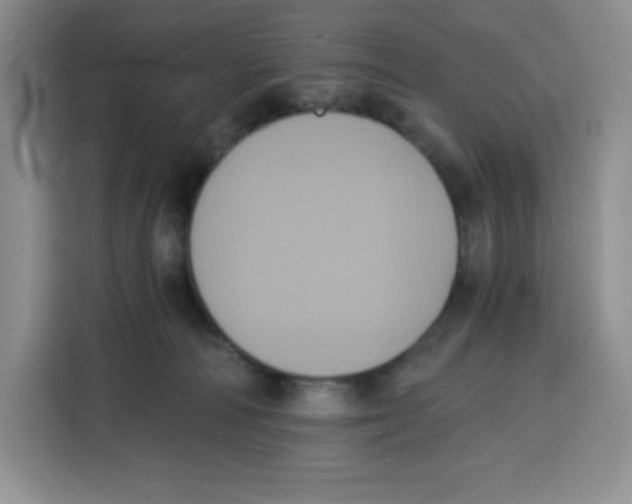 X0000115080226200911241148