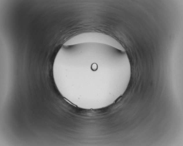 X0000115080229200911241148