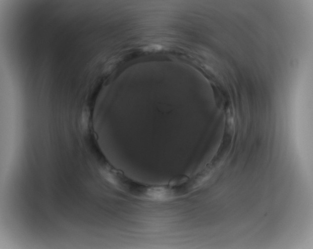 X0000115080231200911241148