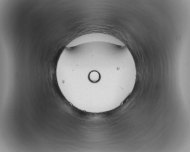 X0000115080235200911241148